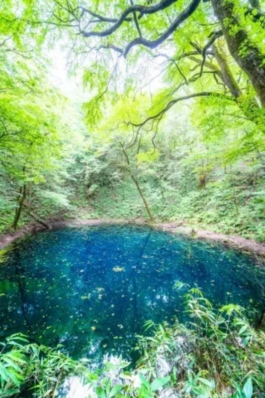 十二湖(青池)