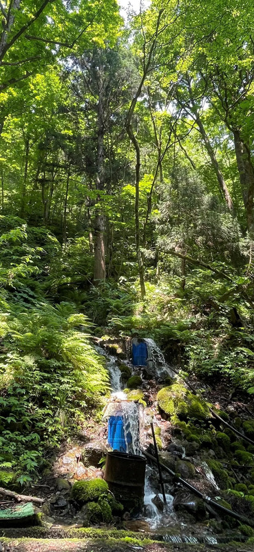 白神山地、観光、秋田、藤里