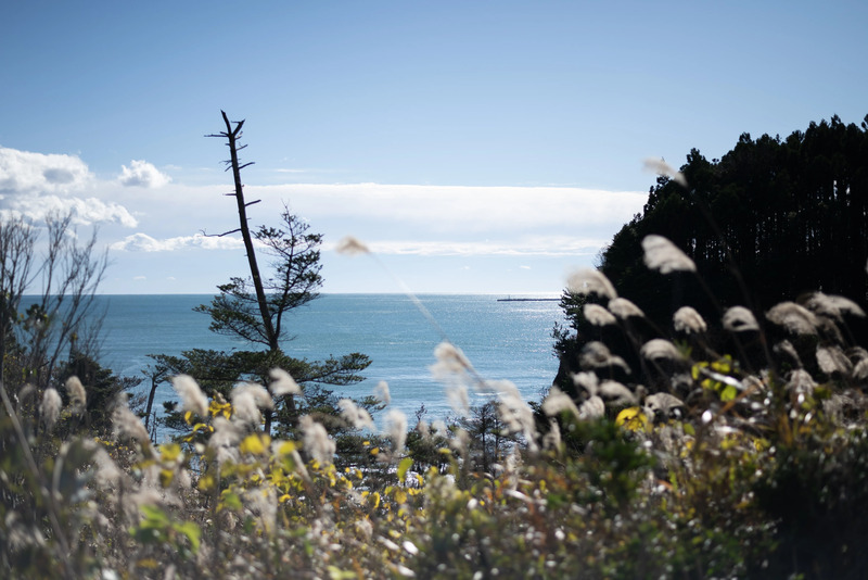建設予定地から見える風景(撮影:岩波友紀|提供:「時の海 - 東北」プロジェクト)