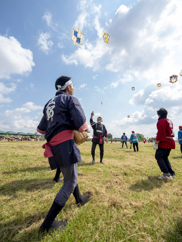 三条凧合戦（さんじょういかがっせん）