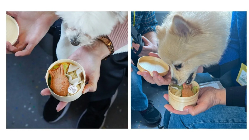 第3弾ワンちゃん用お弁当