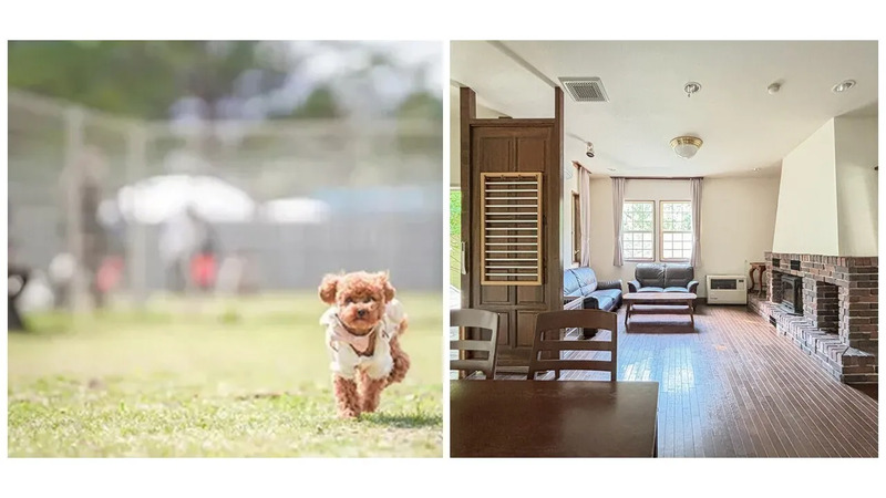 TOWA　ピュアコテージ