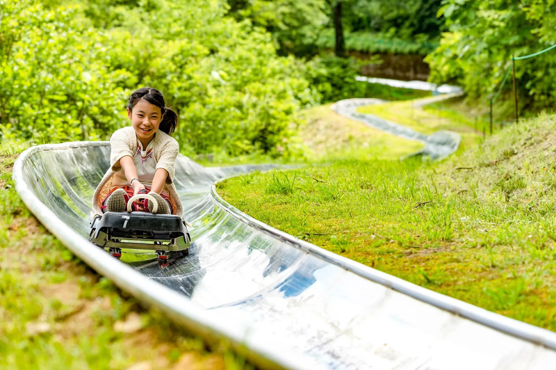 湯沢高原サマーボブスレー(画像提供:湯沢高原)