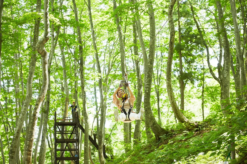湯沢高原ジップライン(画像提供:湯沢高原)