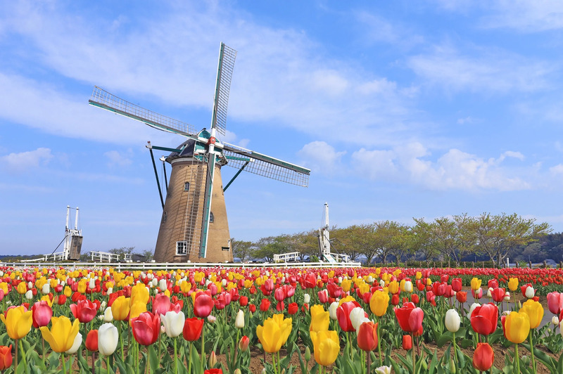 佐倉ふるさと広場