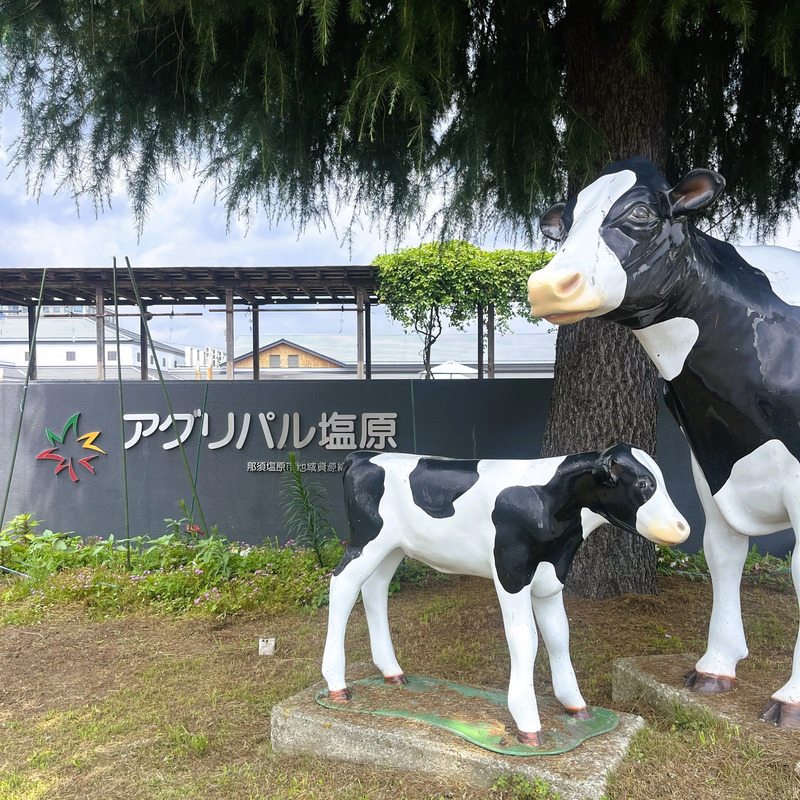 那須塩原　道の駅アグリパル塩原　地元グルメ　避暑旅　女子旅