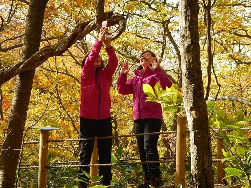 白神山地、観光、モデルコース