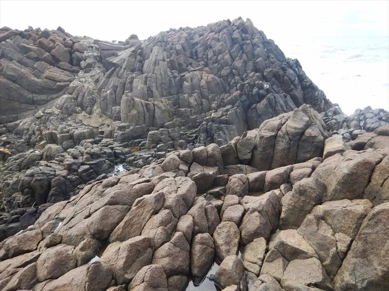 白神山地、観光、モデルコース