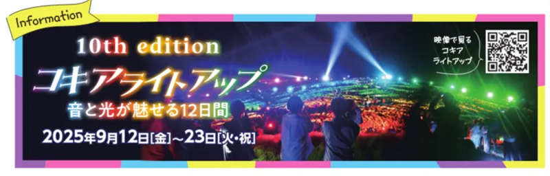 国営ひたち海浜公園　コキアライトアップ