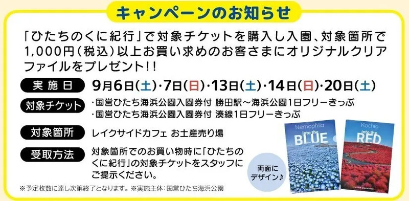 キャンペーンの詳細