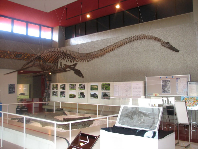 フタバサウルス・スズキイ