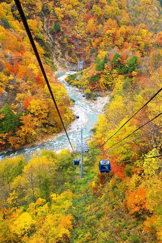 苗場ドラゴンドラ(画像提供:苗場スキー場)