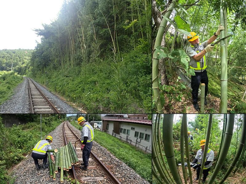 JR大船渡線と沿線の竹林の写真