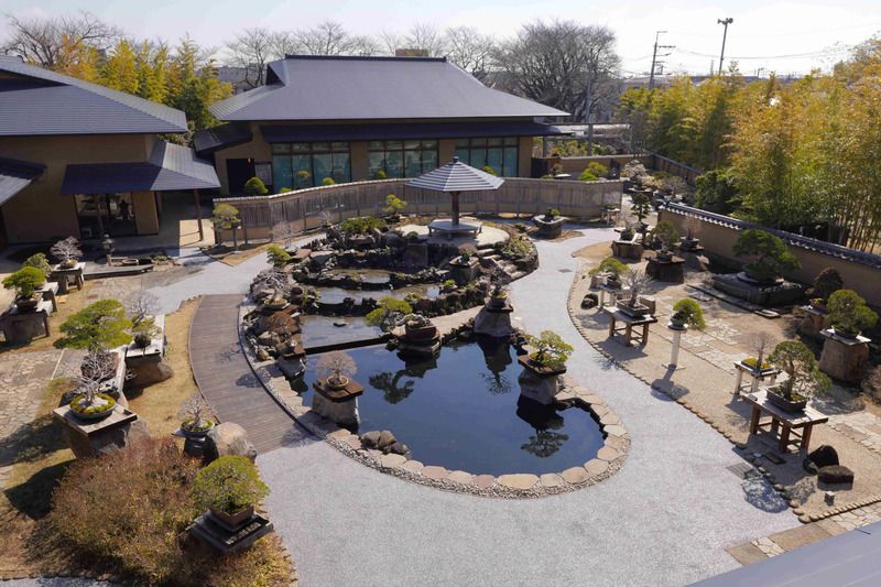 大宮盆栽美術館 盆栽庭園