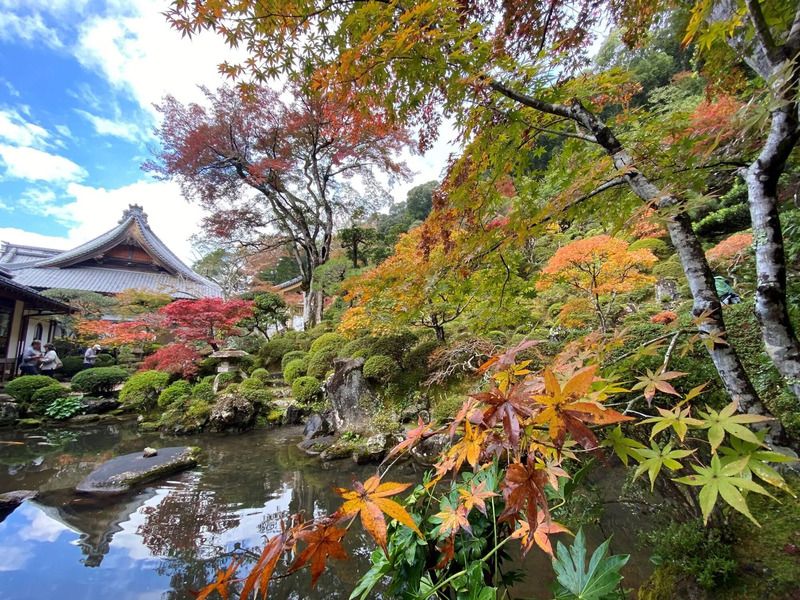 修善寺温泉　修禅寺　庭園　紅葉まつり,修善寺,修善寺紅葉,伊東紅葉