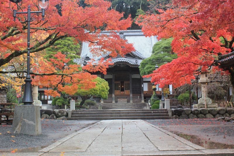 修善寺温泉　紅葉まつり　修禅寺,修善寺,修善寺紅葉,伊東紅葉