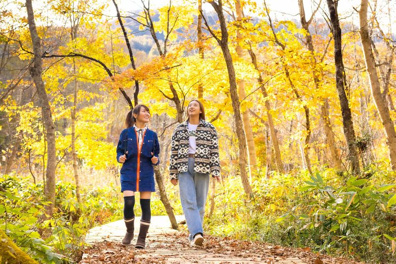 苗場ボードウォーク(画像提供:苗場スキー場)