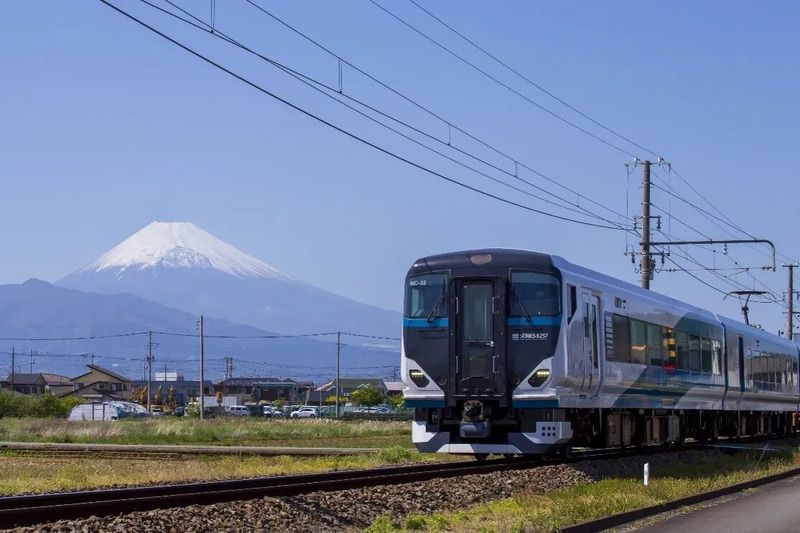 特急「踊り子」修善寺編成と富士山