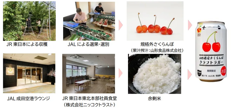 「山形県産さくらんぼクラフトラガー」ができるまで