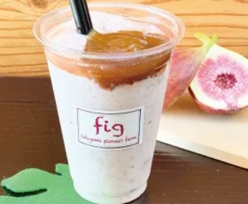 いちじく生シェイク いちじく狩り
