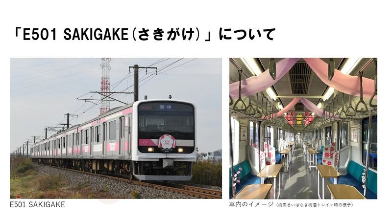 E501 SAKIGAKE