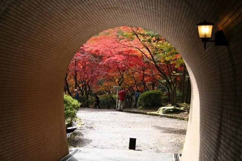 弥彦公園トンネル(画像提供:弥彦観光協会観光写真)
