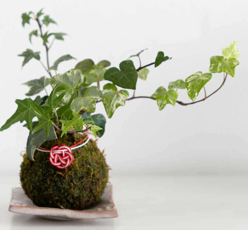 ▲Green Partners shop（画像提供：彩の国マルシェ）