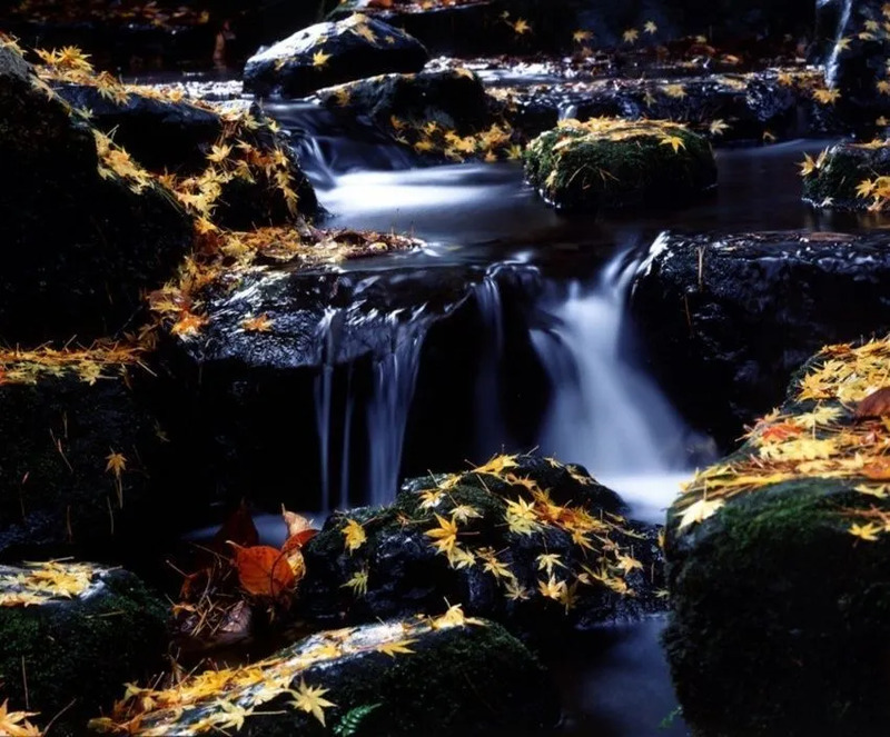 弥彦公園内の滝(画像提供:弥彦観光協会観光写真)