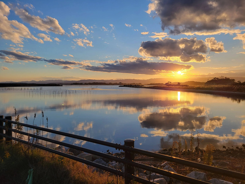 相馬 ふぐ 相馬 ふぐ料理 相馬 福とら 相馬トラフグ