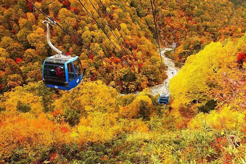 絶景おすすめポイント1(画像提供:苗場スキー場)