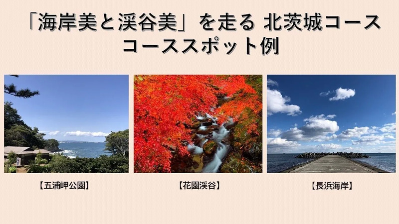 コーススポット