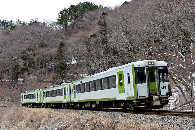 快速はまゆり  キハ110系