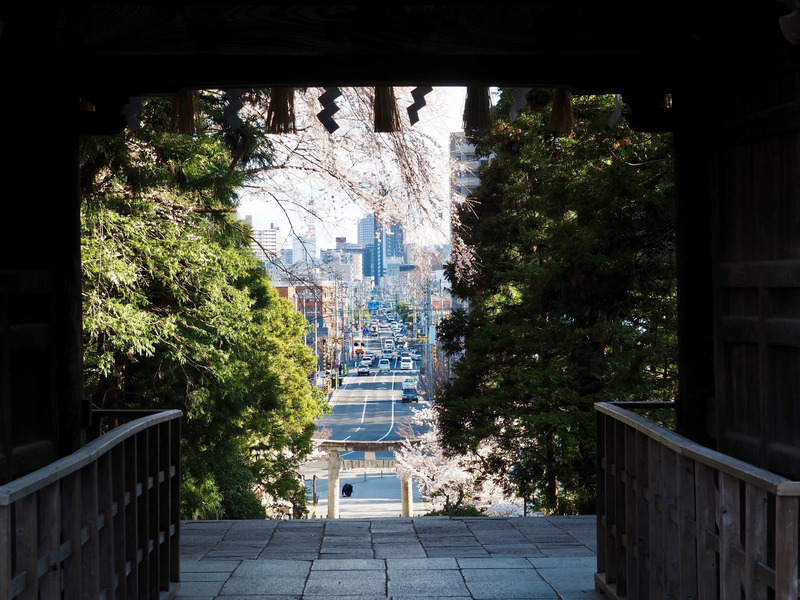 東照宮から宮町を望む