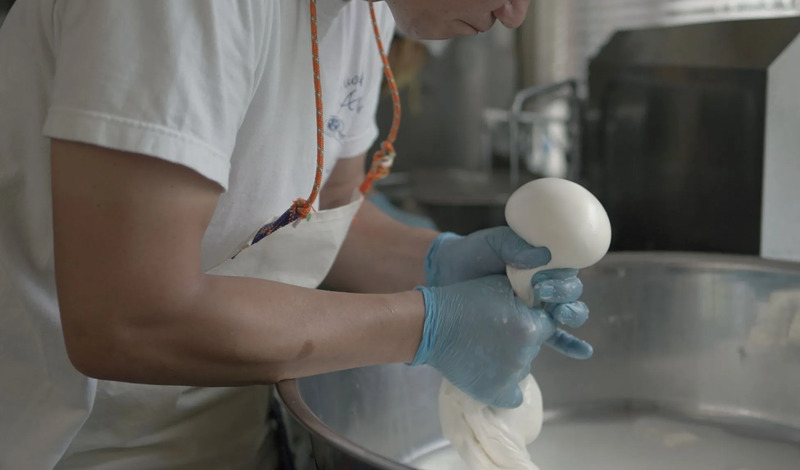 モッツアレッラ作業風景