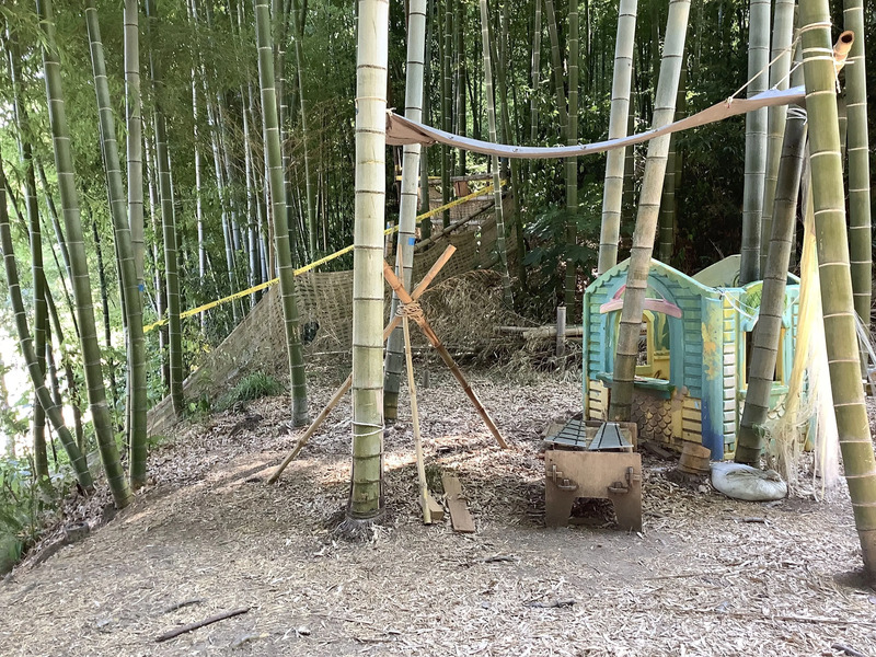 竹林探検（港南台生き生きプレイパーク開催時）