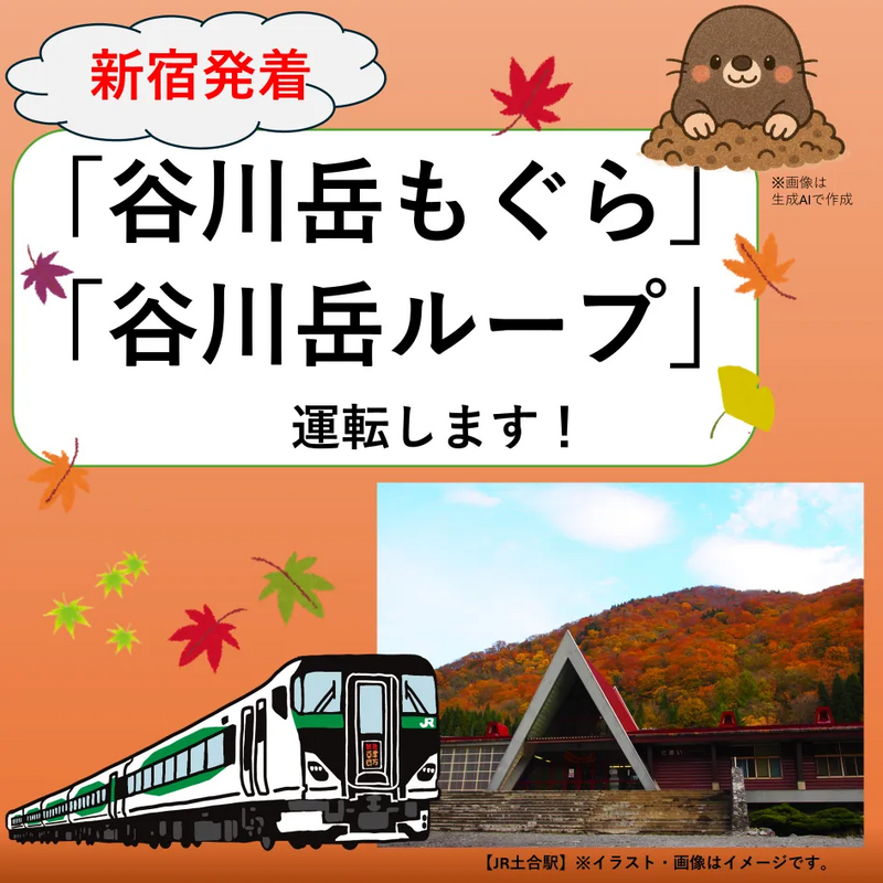 特急「谷川岳もぐら・ループ」