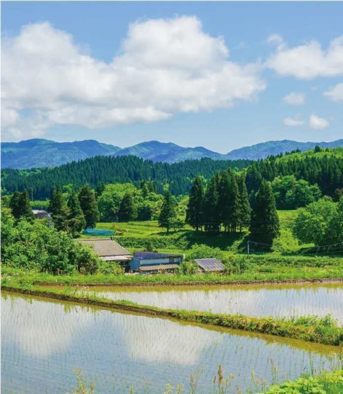 新潟の山々と田園風景（提供：にいがた庭園街道ネットワーク）