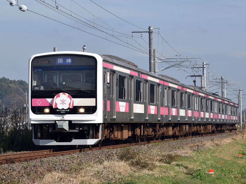 E501 SAKIGAKE