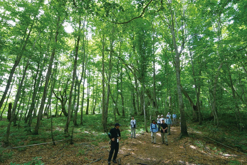 岳岱自然観察教育林