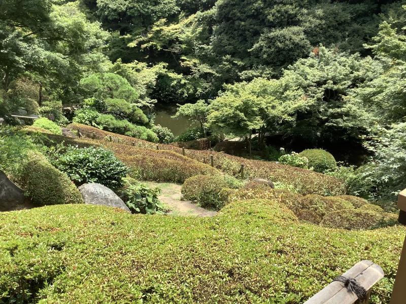 池田山公園