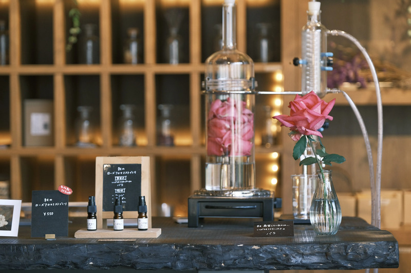 アクティビティイメージ①