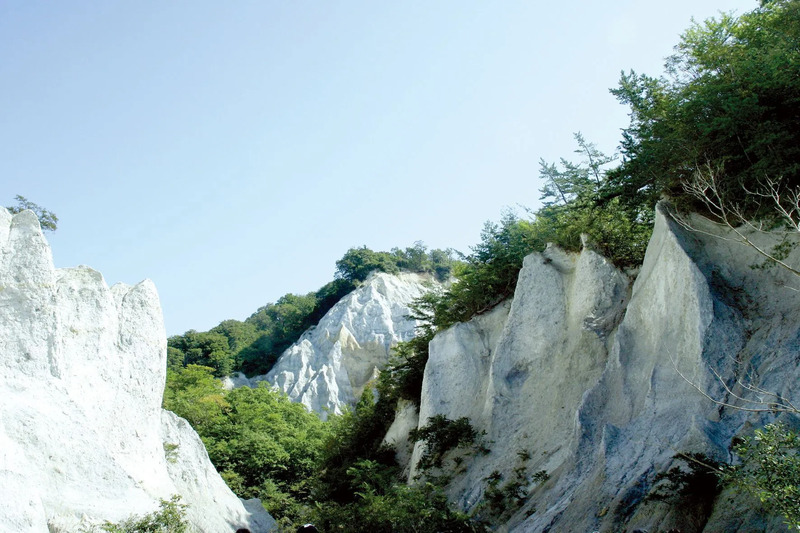 日本キャニオン