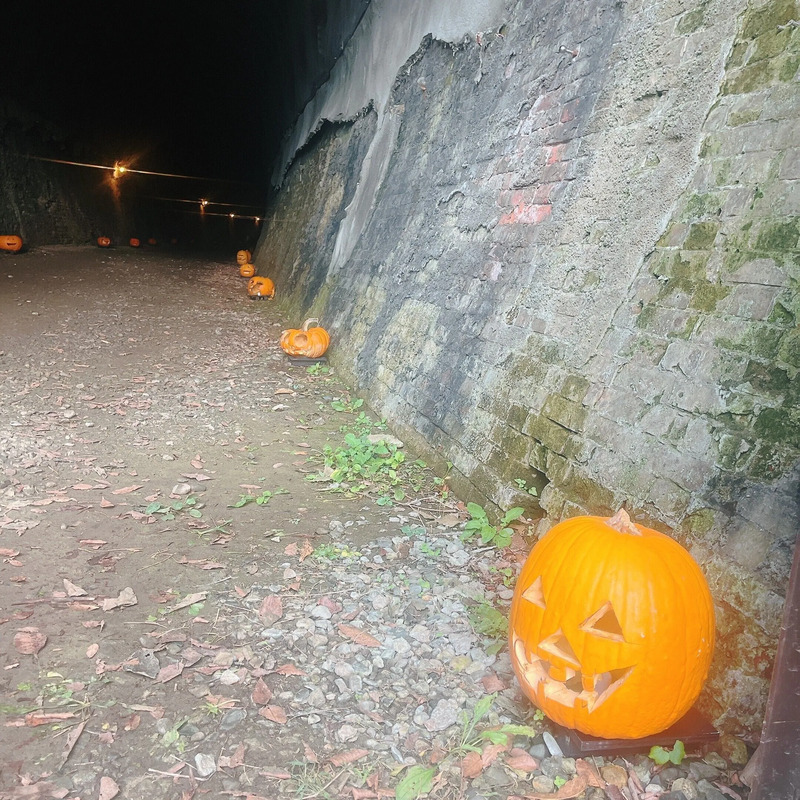 昨年の様子：おばけかぼちゃの装飾