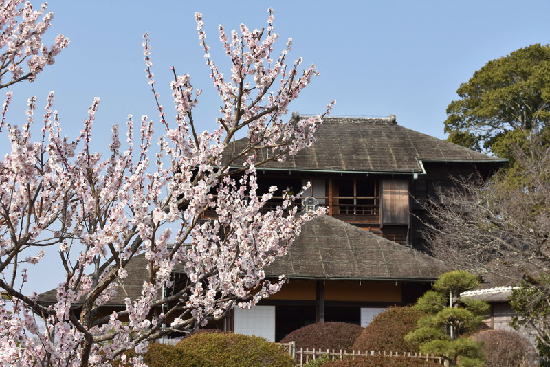 好文亭（提供:茨城県）