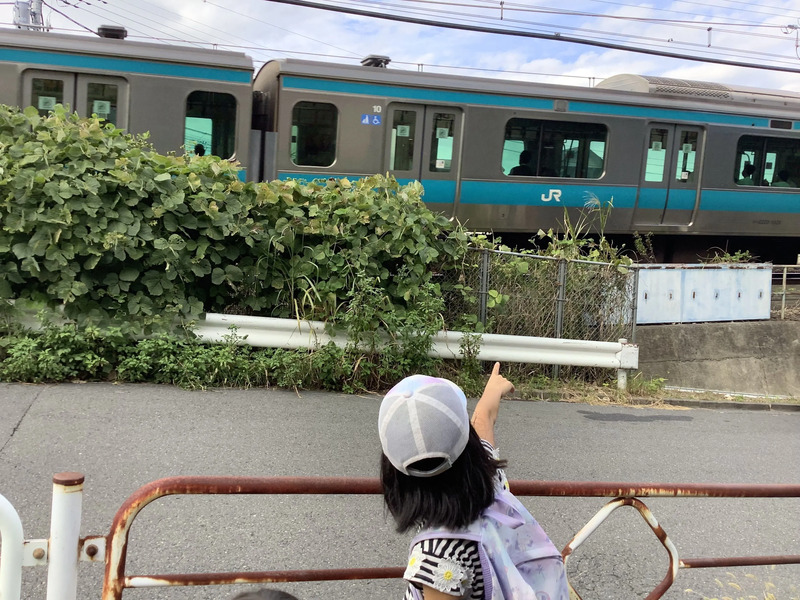 根岸線の電車が見られる