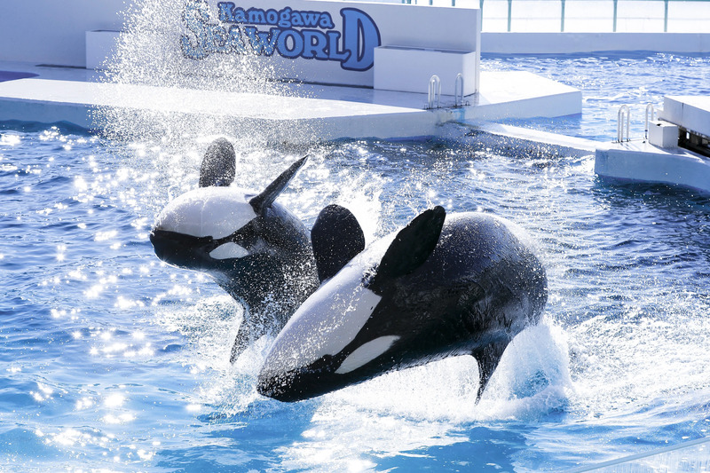 鴨川シーワールド