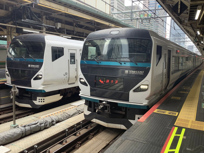 熱海へは全車指定席の特急踊り子号で！