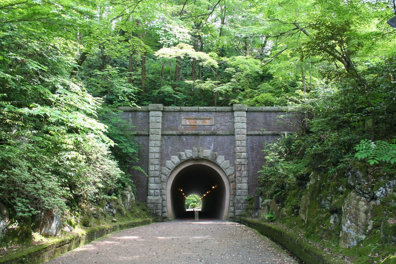 弥彦公園新緑の頃(画像提供:弥彦観光協会)
