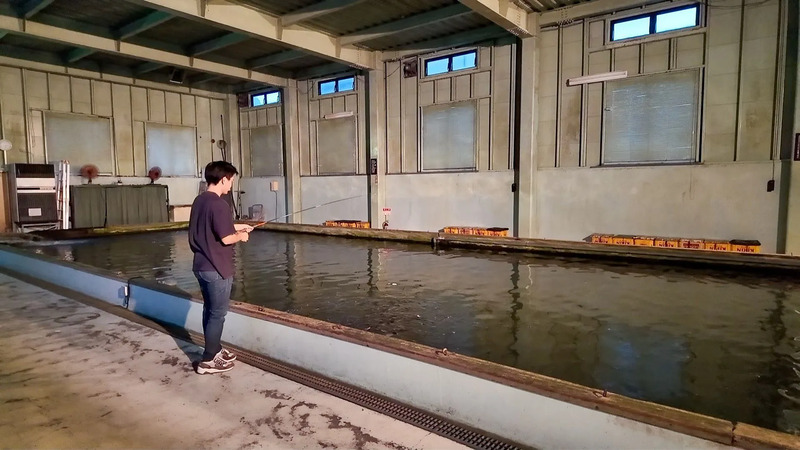   30分500円の釣り堀は、初心者でも楽しめます