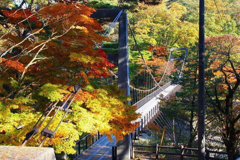 荒川峡もみじ/関川村役場提供写真